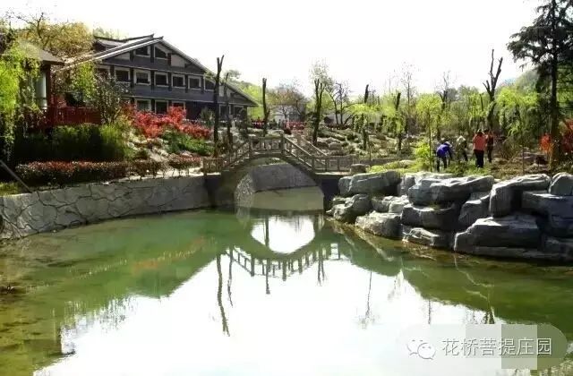 這個周末，隴南康縣花橋有大事要發(fā)生？