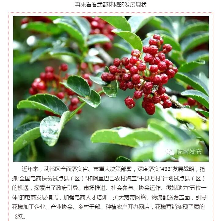 5.28億！一場(chǎng)盛會(huì)，武都花椒“火”了