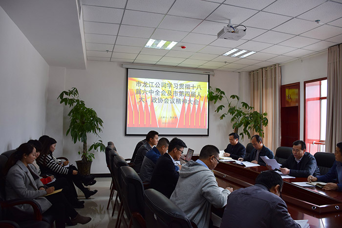 市龍江公司召開全體員工大會(huì)，專題傳達(dá)學(xué)習(xí)上級(jí)會(huì)議精神