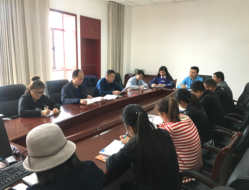 市龍江城鄉(xiāng)發(fā)展集團專題學習近期中央、省、市紀律檢查委員會議精神